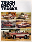 1977 Chevy Trucks-01